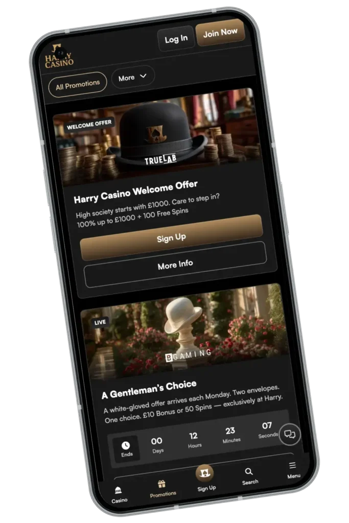 HarryCasino Application